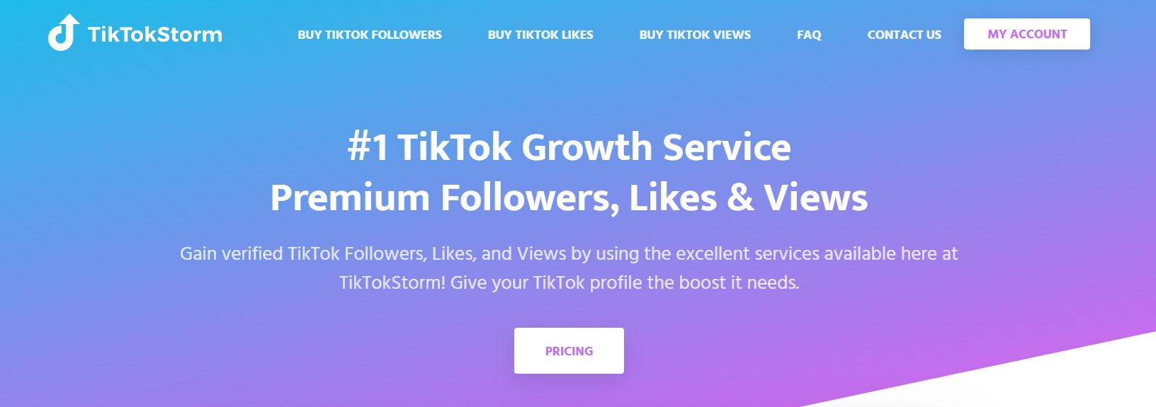Is TikTokStorm Worth the Hype. 